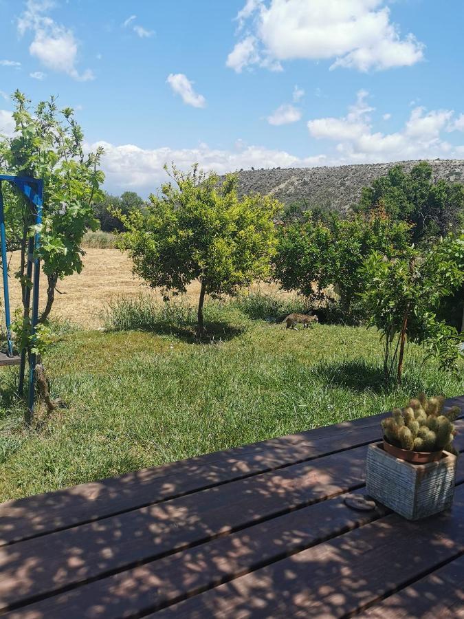 Ampelokipi Holiday Apartments Pissouri Eksteriør billede