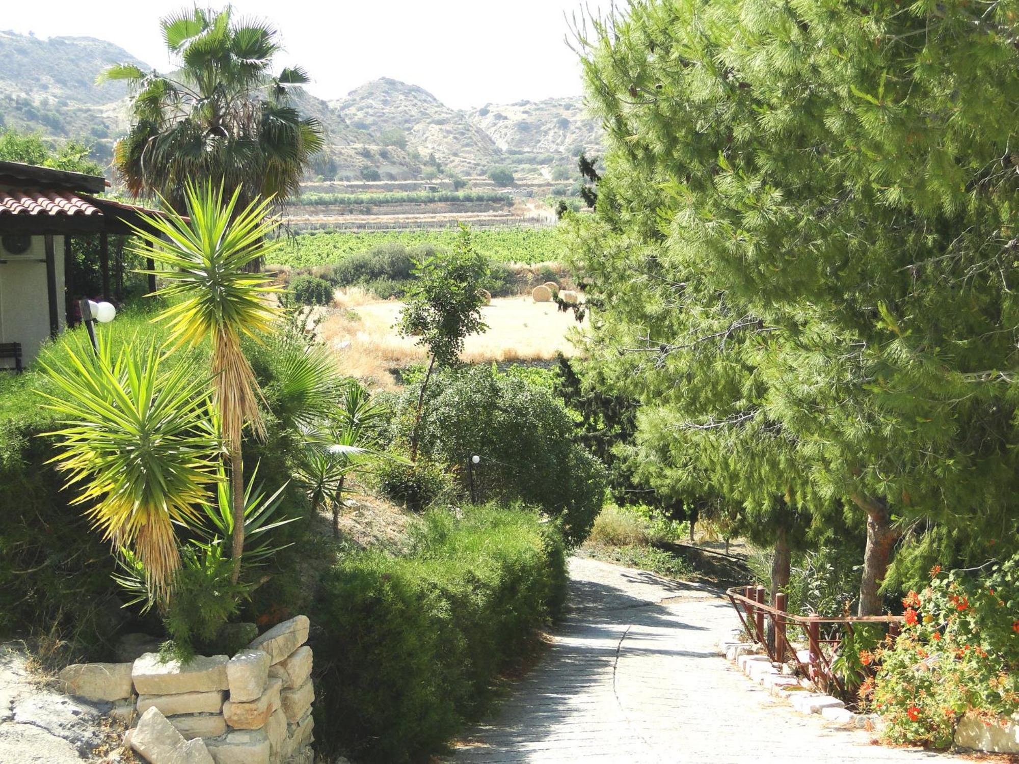 Ampelokipi Holiday Apartments Pissouri Eksteriør billede